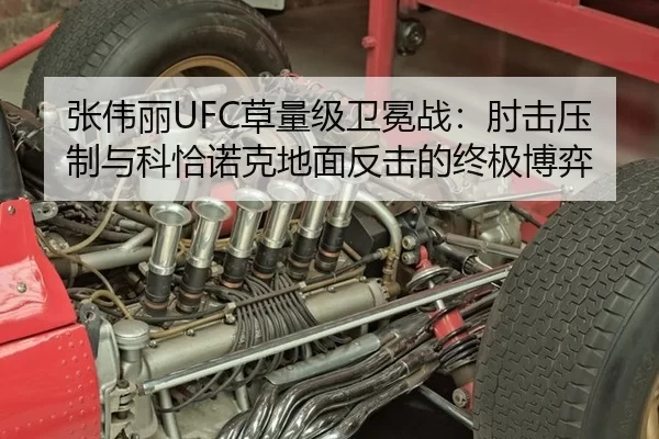 张伟丽UFC草量级卫冕战：肘击压制与科恰诺克地面反击的终极博弈