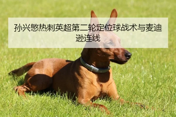 sun-xing-min-re-ci-ying-chao-di-er-lun-ding-wei-qiu-zhan-shu-yu-mai-di-xun-lian-xian-3-800.jpg